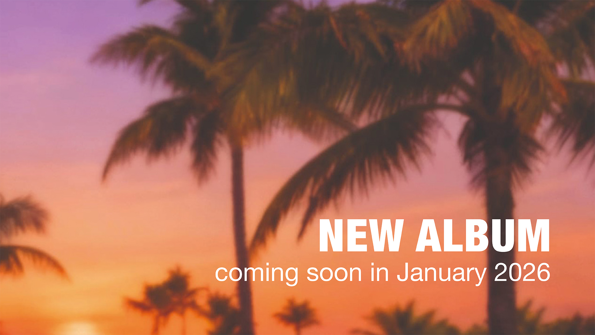 Palmen in der Abendstimmung mit Text "New Album – coming soon in January 2026"