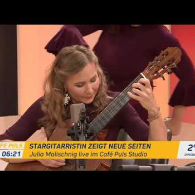 Embedded thumbnail for Julia Malischnig im Cafe Puls