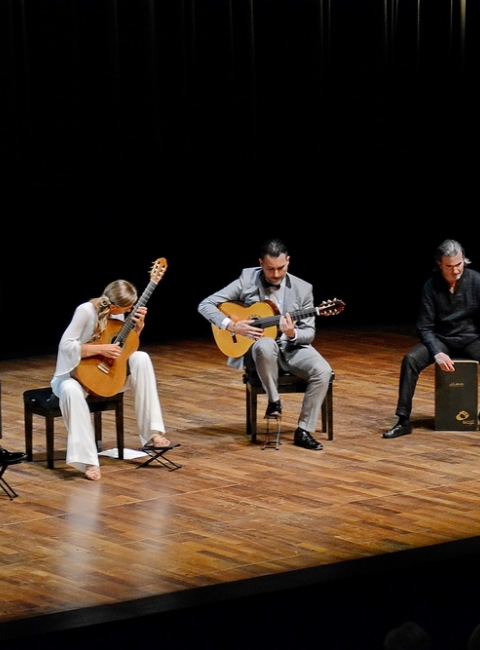 Una Noche de Guitarra