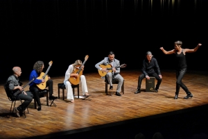 Una Noche de Guitarra