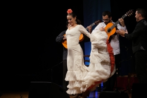 Una Noche de Guitarra